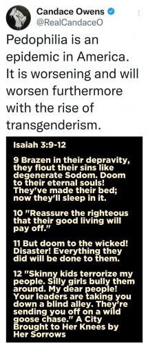 Pedo