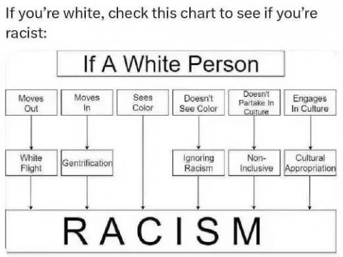 racist1