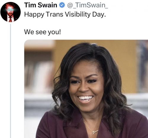 trans visable day