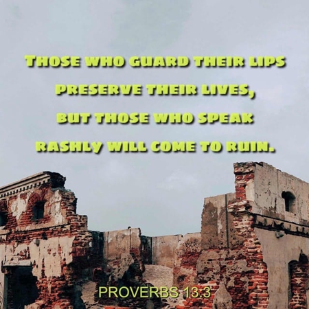 Proverbs 13.3