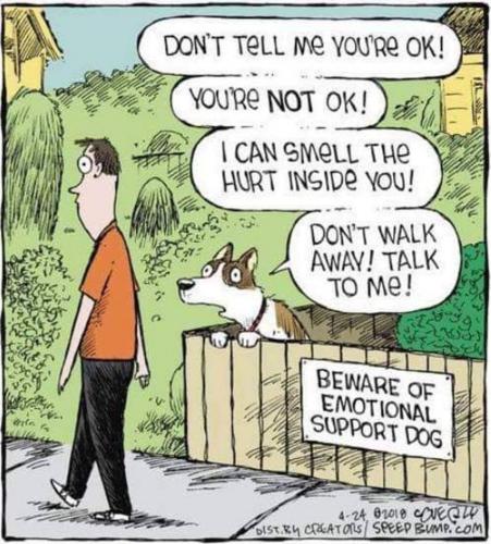 emotionalsupport