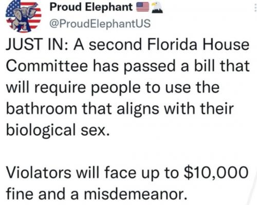 Screenshot_20230416-074752_Gallery