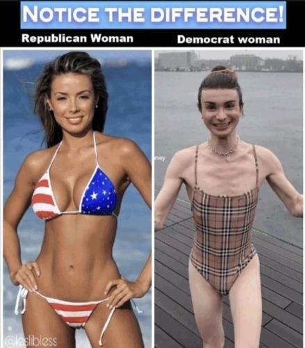 republican and democrat women