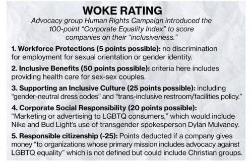 WokeRatingForBusinessesToFollowThanksToDementedLiberals