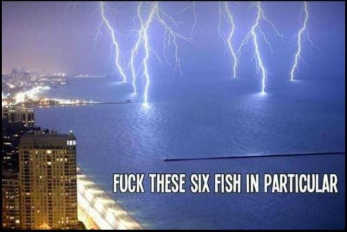 sixfish