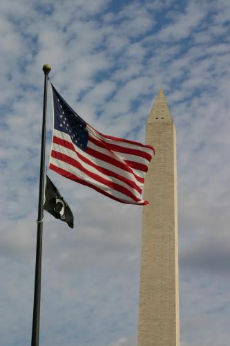 Flag - At Washington Monument 2