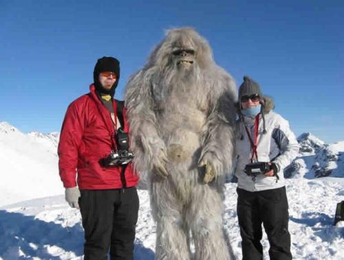 yeti
