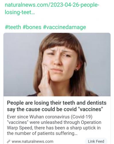 Screenshot_20230426_174051_Brave