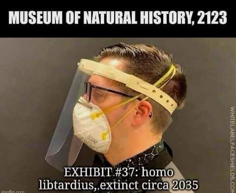 extinct