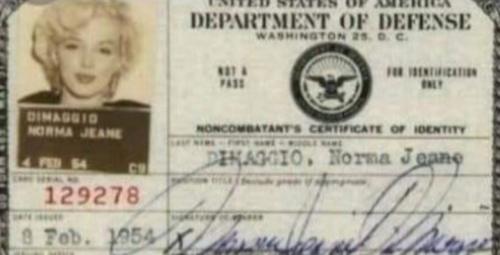 Screenshot_20230428-202336_Telegram