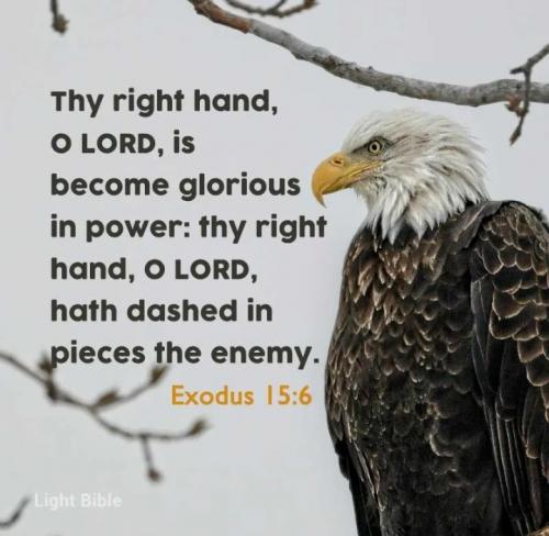 Screenshot_20230406-204350_ King James Bible~2