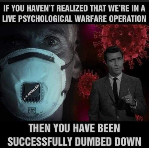 dumbdowned