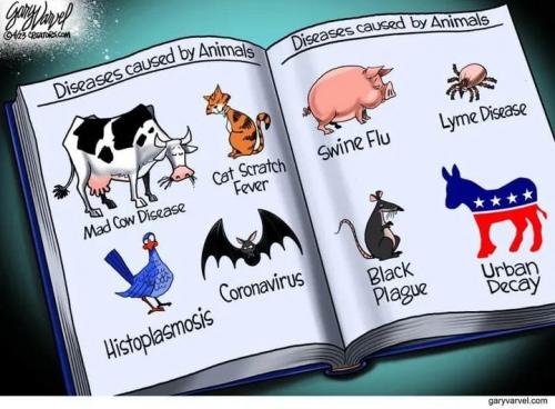 342544142_896641658297521_3047075634538731924_n