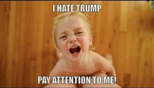 HATE TRUMP   TS