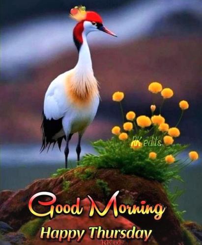 041323 - GM Happy Thurs