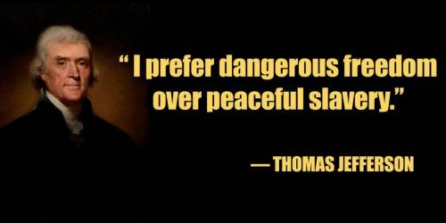 Quote I-prefer-dangerous-freedom