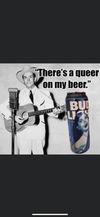 LBGT, BudLight, WOKE -- Country Song Queer on the Beer