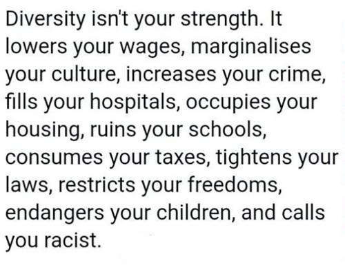 USA diversity