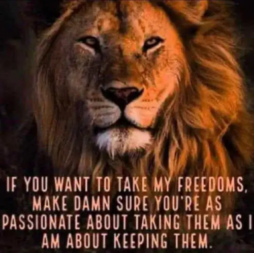M freedoms
