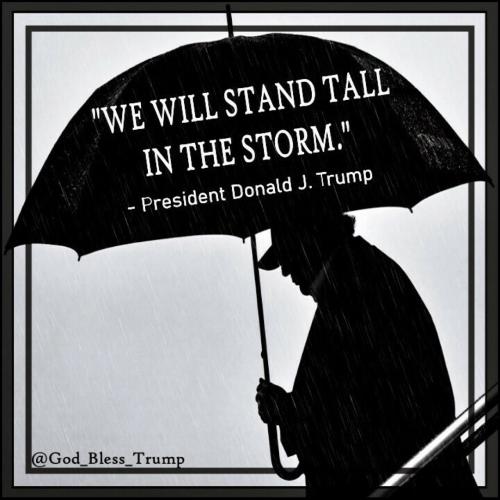 737C563D-8618-4C0A-9954-ED2BFA1F8F65