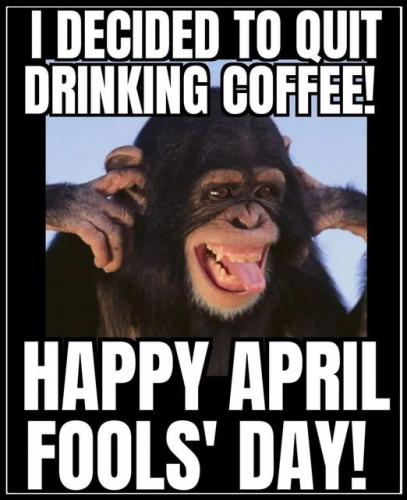 339436244_1424677541692507_8336447997593345186_n