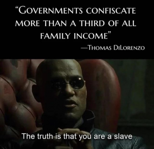 M confiscate