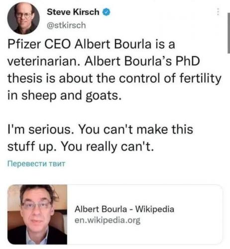 Vet