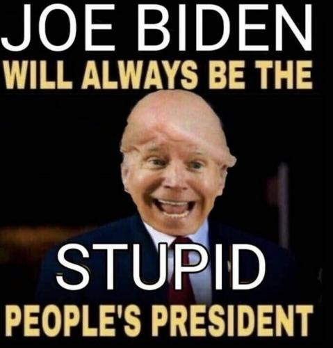 Screenshot_20230403-234349_Gallery