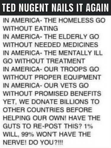 RO Ted Nugent
