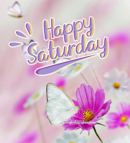 Happy-Saturday-Images-8