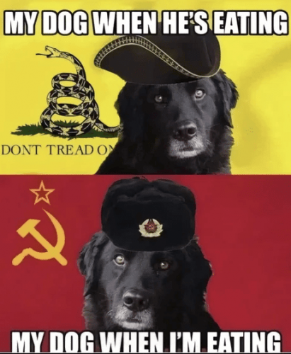 MyDogWhenItsEating