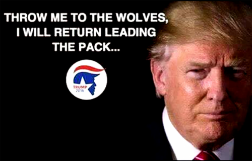 M leading the pack