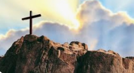 Screenshot_20230409-064645_Google