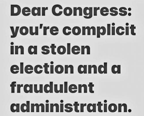 USA stolen election