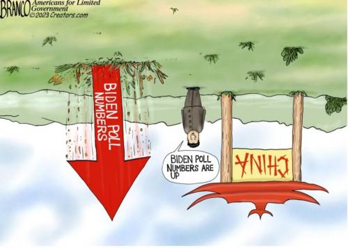 Biden Poll Numbers China