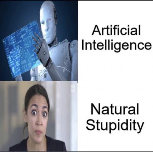 cf486de8266d6a73.jpeg