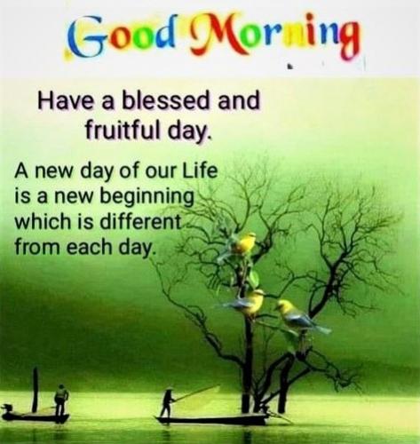 042723 - New day gratitude
