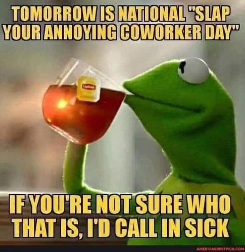 FB_IMG_1681400233525