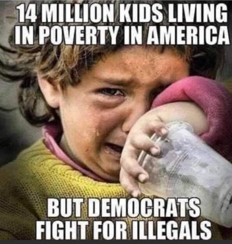 B Dems illegals