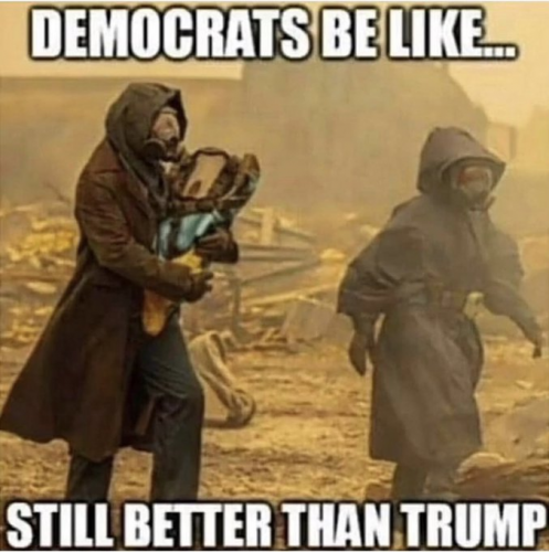 DEMOCRATS BE LIKE  TS