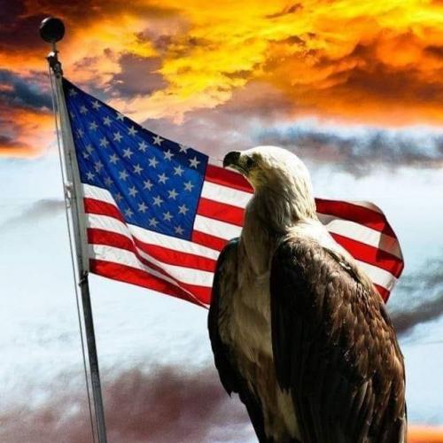 Flag - With eagle 1 -  And setting sun