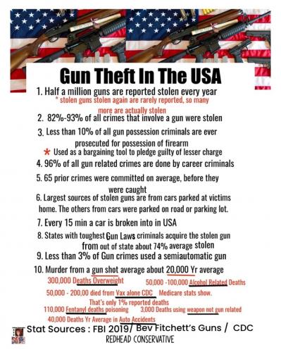 GUN THEFT   TS