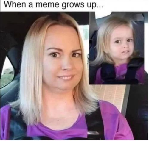 340996190_685921433305830_2198241511831226583_n