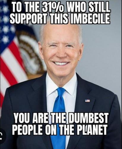 M dumbest