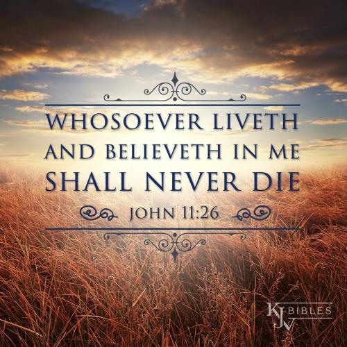 IMG_20230416_103135_884