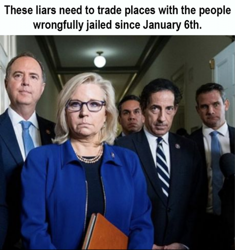 USA wrongfully jailed J6
