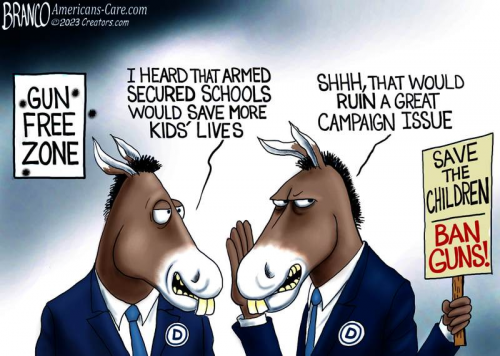 Campaign issue