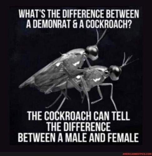 Diff