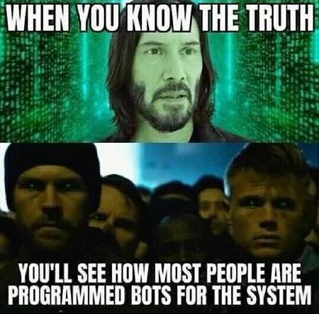 Bots