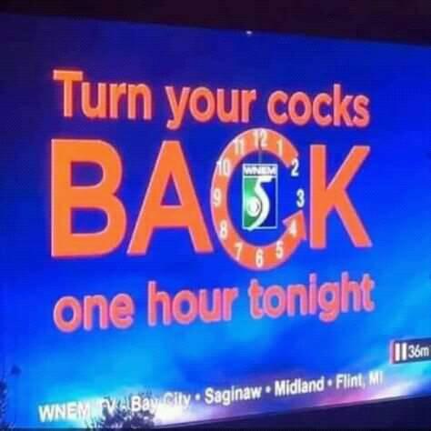 cocks